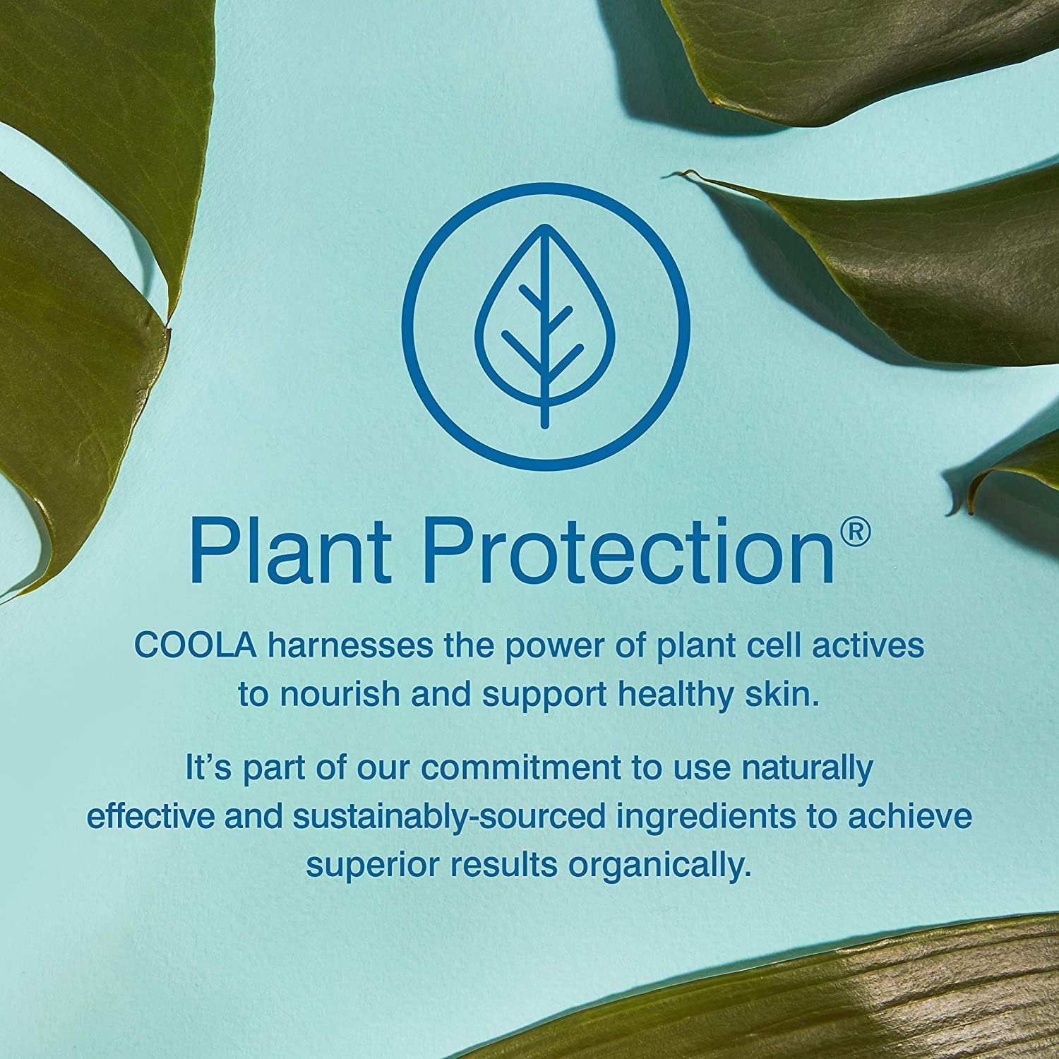 COOLA Organic Sunscreen SPF 70 Sunblock Spray, Dermatologist Tested Skin Care for Daily Protection, Vegan and Gluten Free, Peach Blossom, 6 Fl Oz