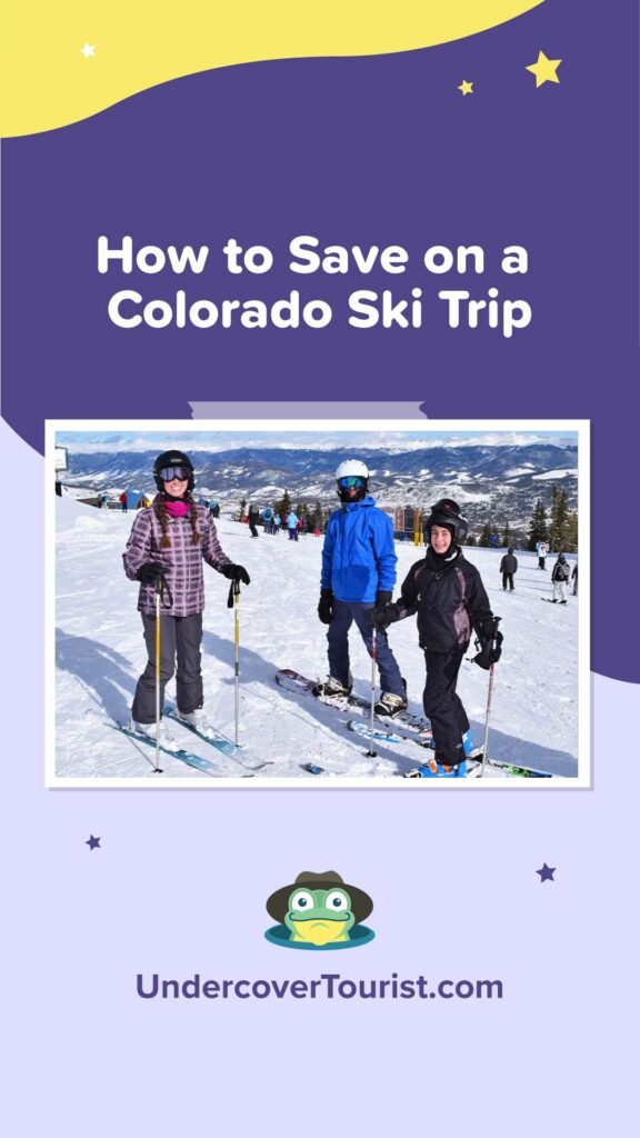 Undercover Tourist Ski Review