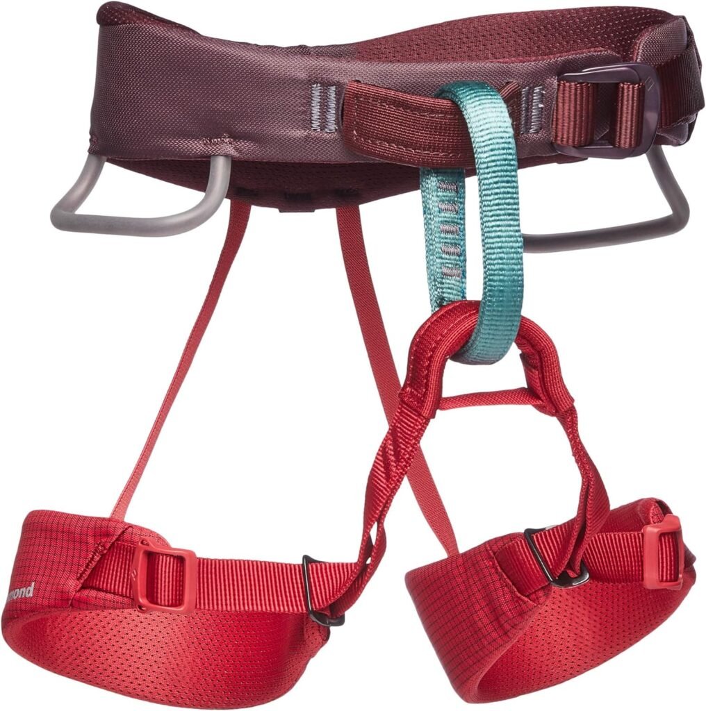 BLACK DIAMOND Momentum Childrens Kids Climbing Harness, Wild Rose